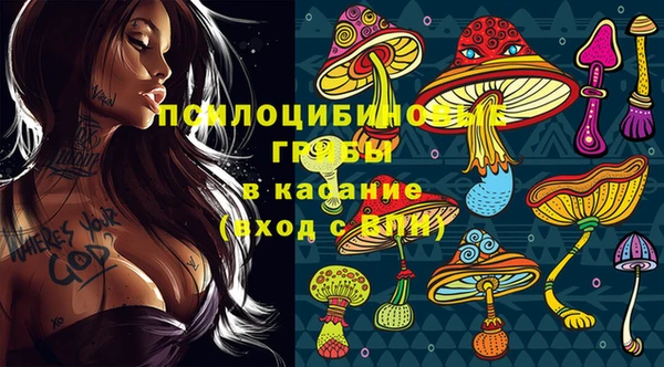 стафф Армянск