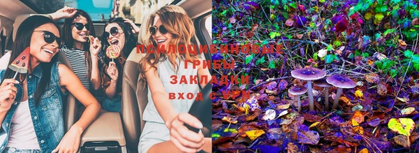марки nbome Аркадак